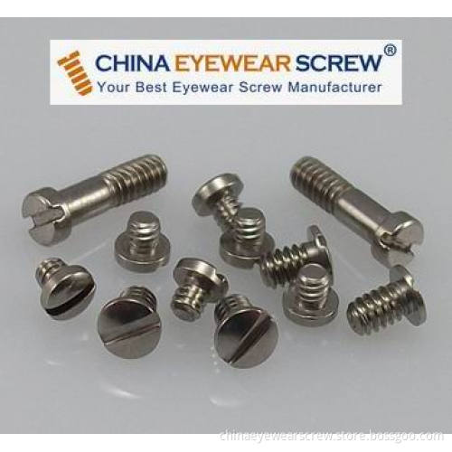 Optical Eyewire and Hinge Screw